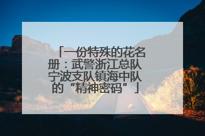 一份特殊的花名册：武警浙江总队宁波支队镇海中队的“精神密码”