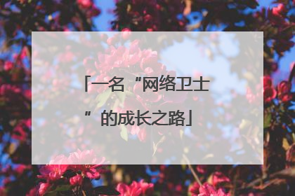 一名“网络卫士”的成长之路