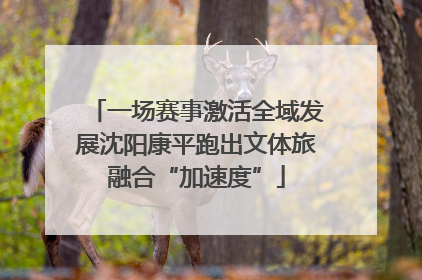 一场赛事激活全域发展沈阳康平跑出文体旅融合“加速度”