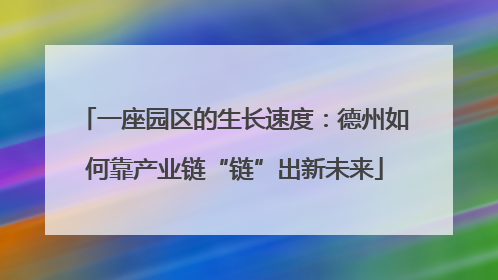 一座园区的生长速度：德州如何靠产业链“链”出新未来