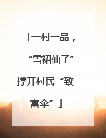 一村一品，“雪裙仙子”撑开村民“致富伞”