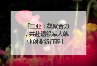 三亚：凝聚合力，共赴退役军人就业创业新征程