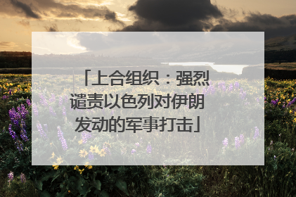 上合组织：强烈谴责以色列对伊朗发动的军事打击