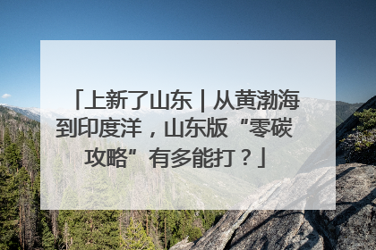 上新了山东｜从黄渤海到印度洋，山东版“零碳攻略”有多能打？