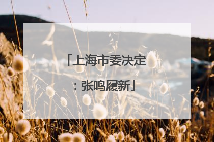 上海市委决定：张鸣履新