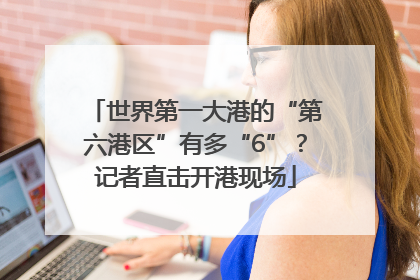 世界第一大港的“第六港区”有多“6”？记者直击开港现场