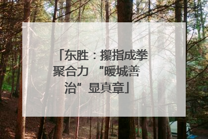 东胜：攥指成拳聚合力 “暖城善治”显真章