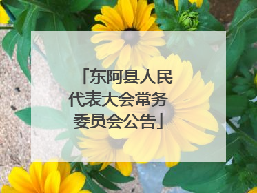 东阿县人民代表大会常务委员会公告