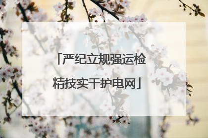 严纪立规强运检 精技实干护电网