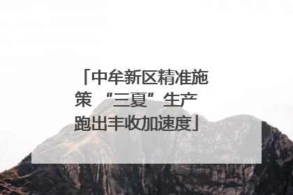 中牟新区精准施策 “三夏”生产跑出丰收加速度
