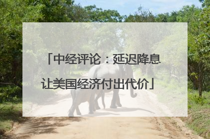 中经评论：延迟降息让美国经济付出代价