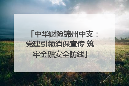 中华财险锦州中支：党建引领消保宣传 筑牢金融安全防线