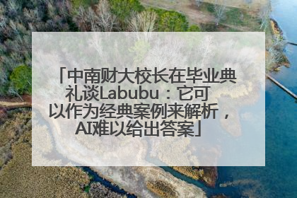 中南财大校长在毕业典礼谈Labubu：它可以作为经典案例来解析，AI难以给出答案