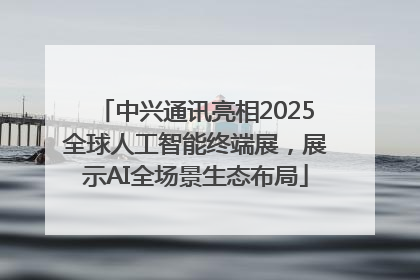 中兴通讯亮相2025全球人工智能终端展，展示AI全场景生态布局