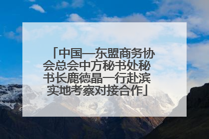 中国—东盟商务协会总会中方秘书处秘书长鹿德晶一行赴滨实地考察对接合作