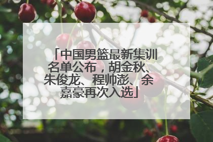 中国男篮最新集训名单公布，胡金秋、朱俊龙、程帅澎、余嘉豪再次入选