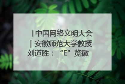 中国网络文明大会｜安徽师范大学教授刘道胜：“E”览徽风，构筑中华民族共有精神家园