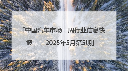 中国汽车市场一周行业信息快报——2025年5月第5期
