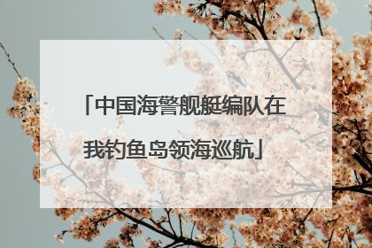 中国海警舰艇编队在我钓鱼岛领海巡航