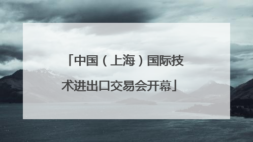 中国（上海）国际技术进出口交易会开幕
