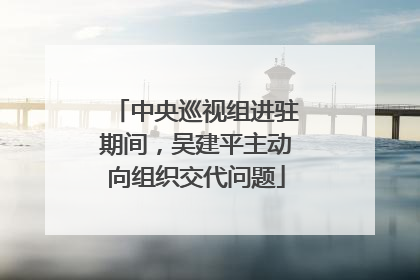 中央巡视组进驻期间，吴建平主动向组织交代问题