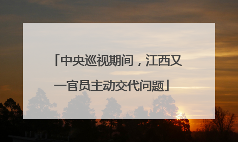 中央巡视期间，江西又一官员主动交代问题