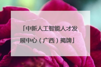 中新人工智能人才发展中心（广西）揭牌