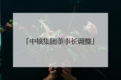 中核集团董事长调整