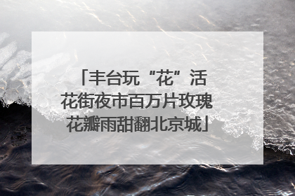 丰台玩“花”活 花街夜市百万片玫瑰花瓣雨甜翻北京城