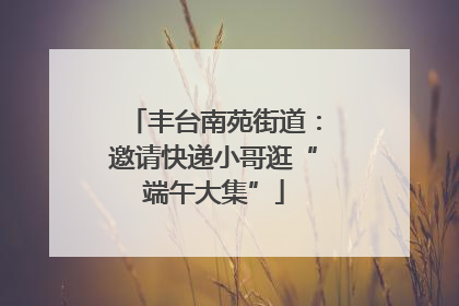 丰台南苑街道：邀请快递小哥逛“端午大集”