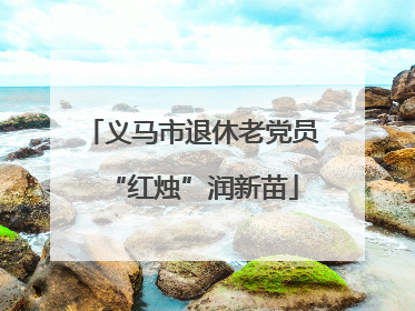 义马市退休老党员“红烛”润新苗
