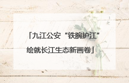 九江公安“铁腕护江”绘就长江生态新画卷