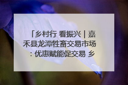 乡村行 看振兴｜嘉禾县龙潭牲畜交易市场：优惠赋能促交易 乡村振兴添动能