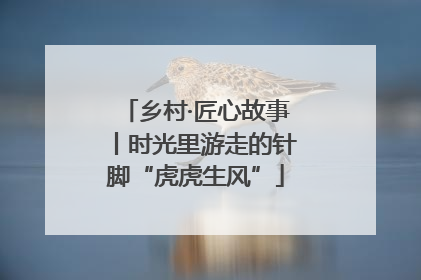 乡村·匠心故事丨时光里游走的针脚“虎虎生风”