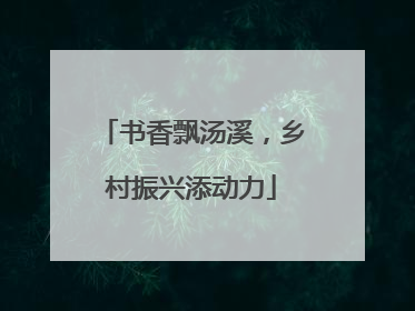 书香飘汤溪，乡村振兴添动力