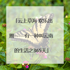 云上草海 欢乐出圈——有一种叫云南的生活之365天