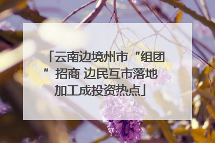 云南边境州市“组团”招商 边民互市落地加工成投资热点