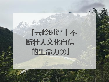 云岭时评丨不断壮大文化自信的生命力②