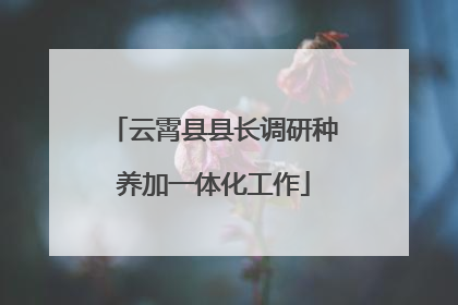 云霄县县长调研种养加一体化工作