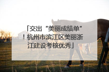 交出“美丽成绩单”！杭州市滨江区美丽浙江建设考核优秀
