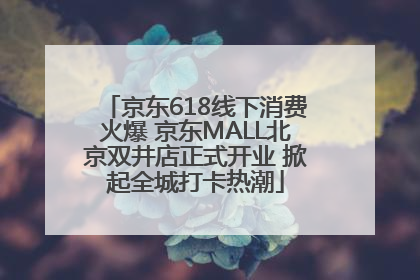 京东618线下消费火爆 京东MALL北京双井店正式开业 掀起全城打卡热潮