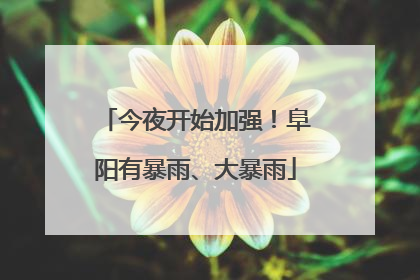 今夜开始加强！阜阳有暴雨、大暴雨