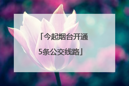 今起烟台开通5条公交线路