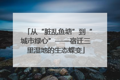 从“脏乱鱼塘”到“城市绿心”——宿迁三里湿地的生态蝶变