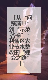 从“问题清单”到“示范答卷”：利通区农业节水整改的“蝶变之路”