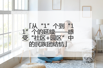 从“1”个到“11”个的延续——感受“社区+园区”中的民族团结情