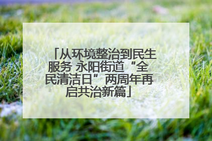 从环境整治到民生服务 永阳街道“全民清洁日”两周年再启共治新篇