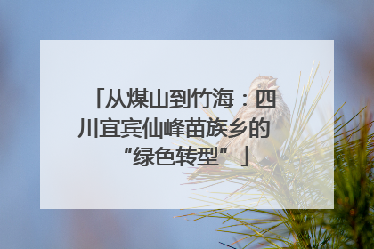 从煤山到竹海：四川宜宾仙峰苗族乡的“绿色转型”