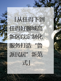 从住得下到住得好聊城高新区以定制化服务打造“鲁派民居”新范式