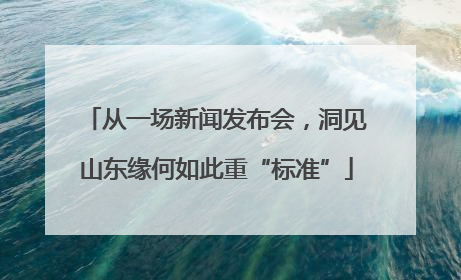 从一场新闻发布会，洞见山东缘何如此重“标准”